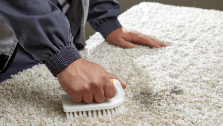 Professional Rug Cleaning Grovedale